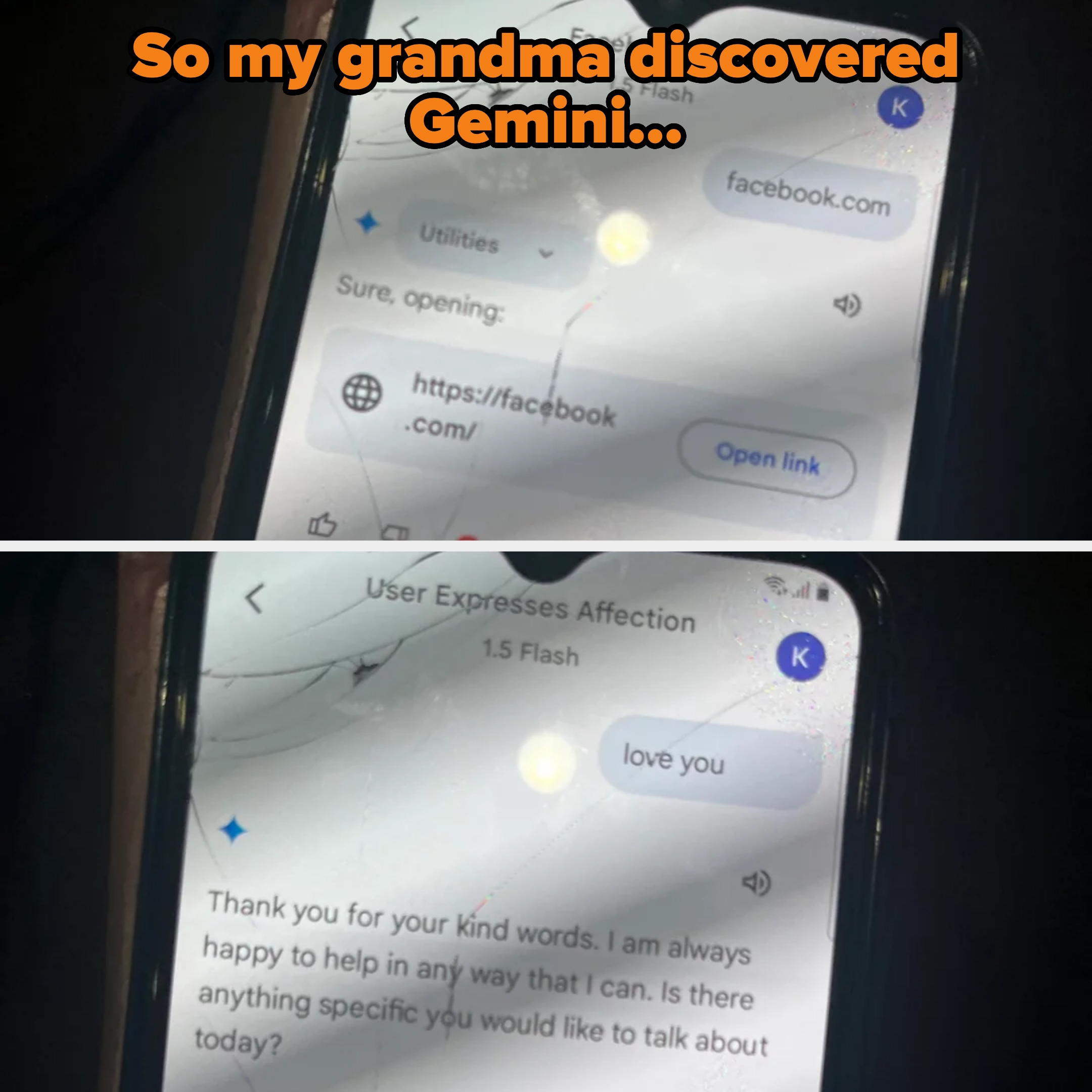 Phone screenshots showing Grandma on gemini trying to navigate to facebook and saying "love you"