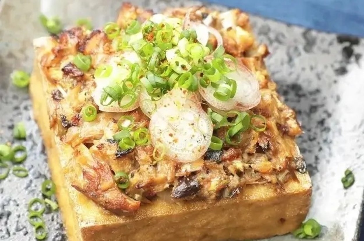 厚揚げの上にネギと具材が乗った料理が皿に盛られている。和食の一品。