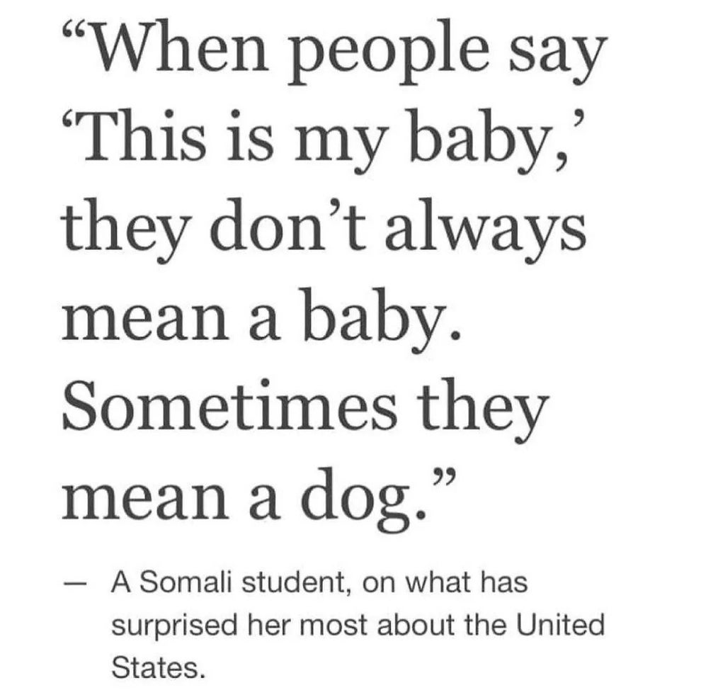Funny Rude Posts 50 Hilarious Posts That Will Make You Giggle