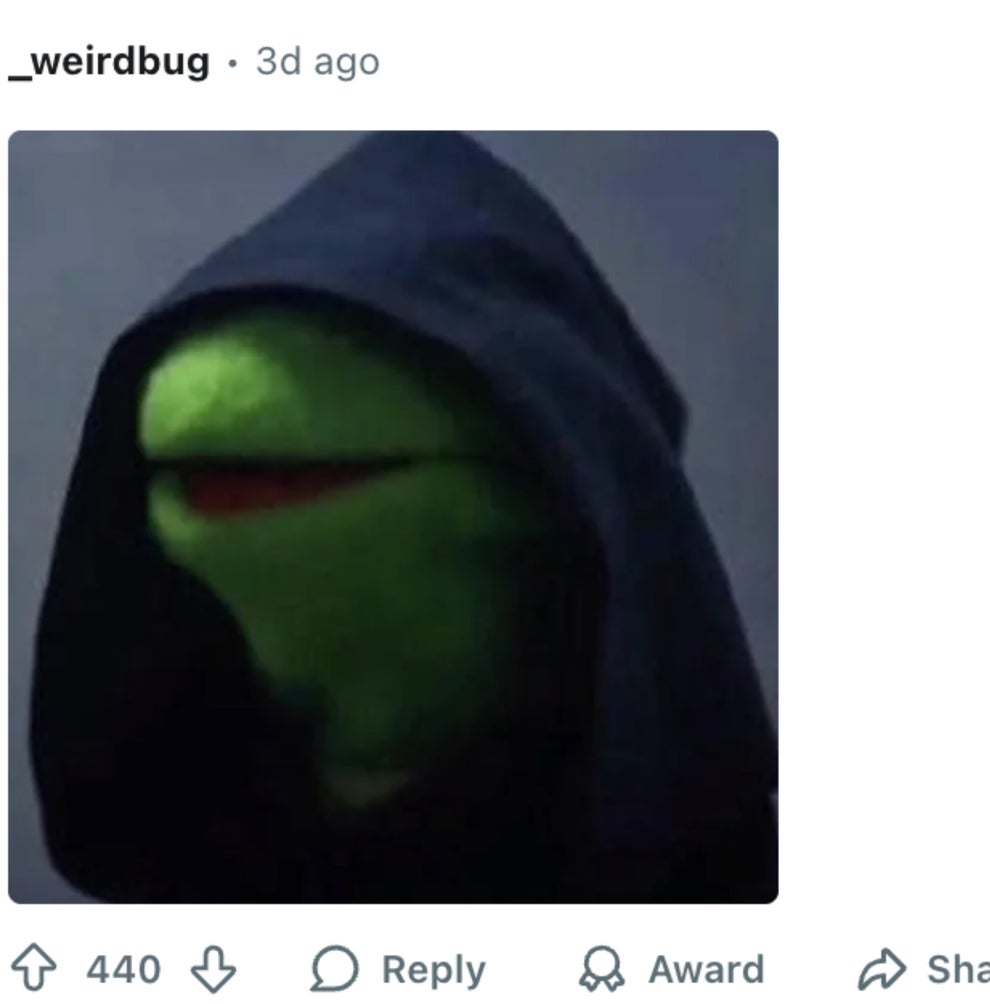 Kermit in a hooded cloak with a serious expression, mimicking a dramatic or ominous look
