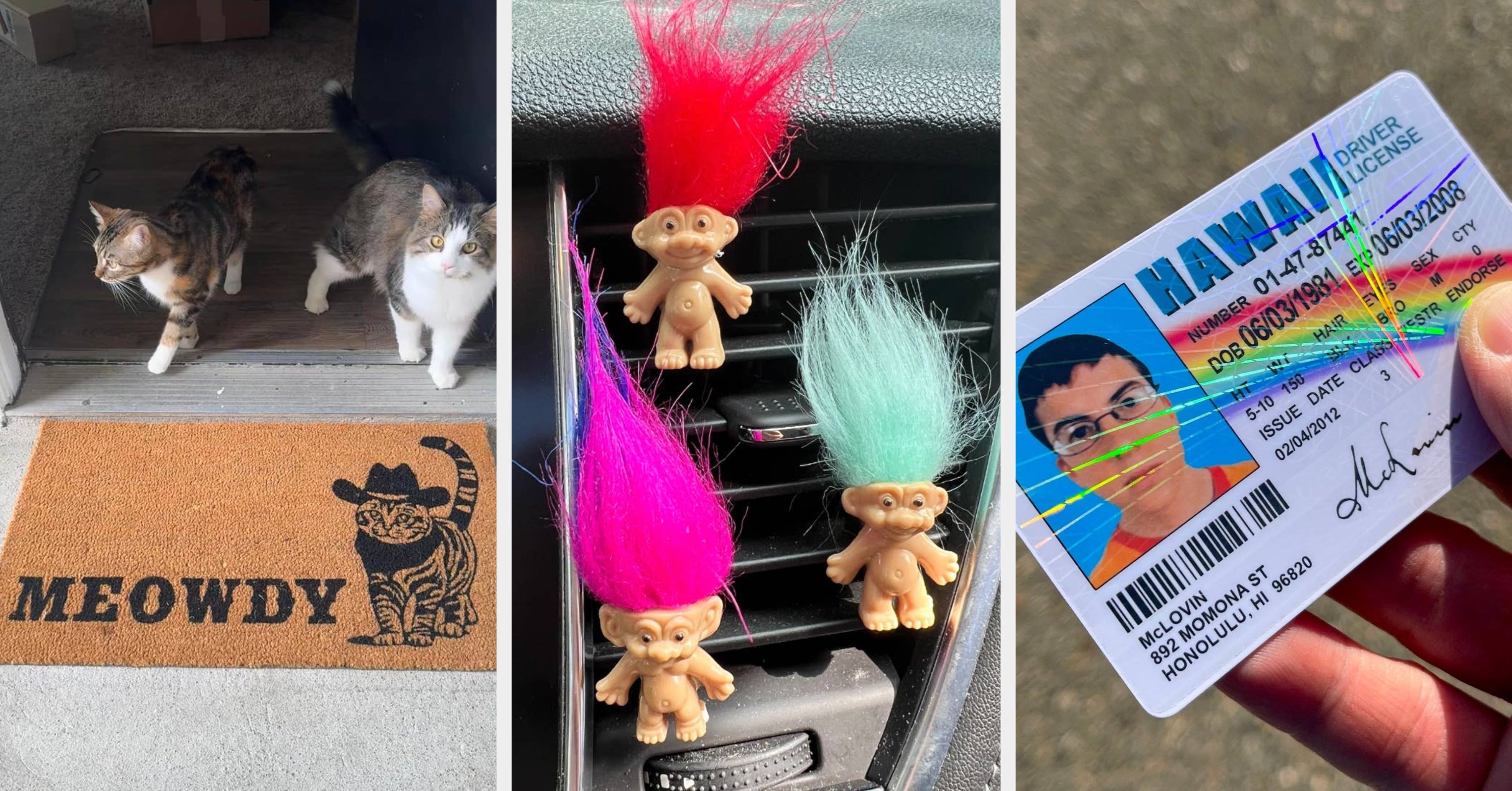 37 Odd Or Unusual Things That Will Make Your Freaky Little Heart Sing