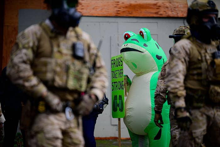 Explainer: Why You're Seeing Frogs Protesting ICE