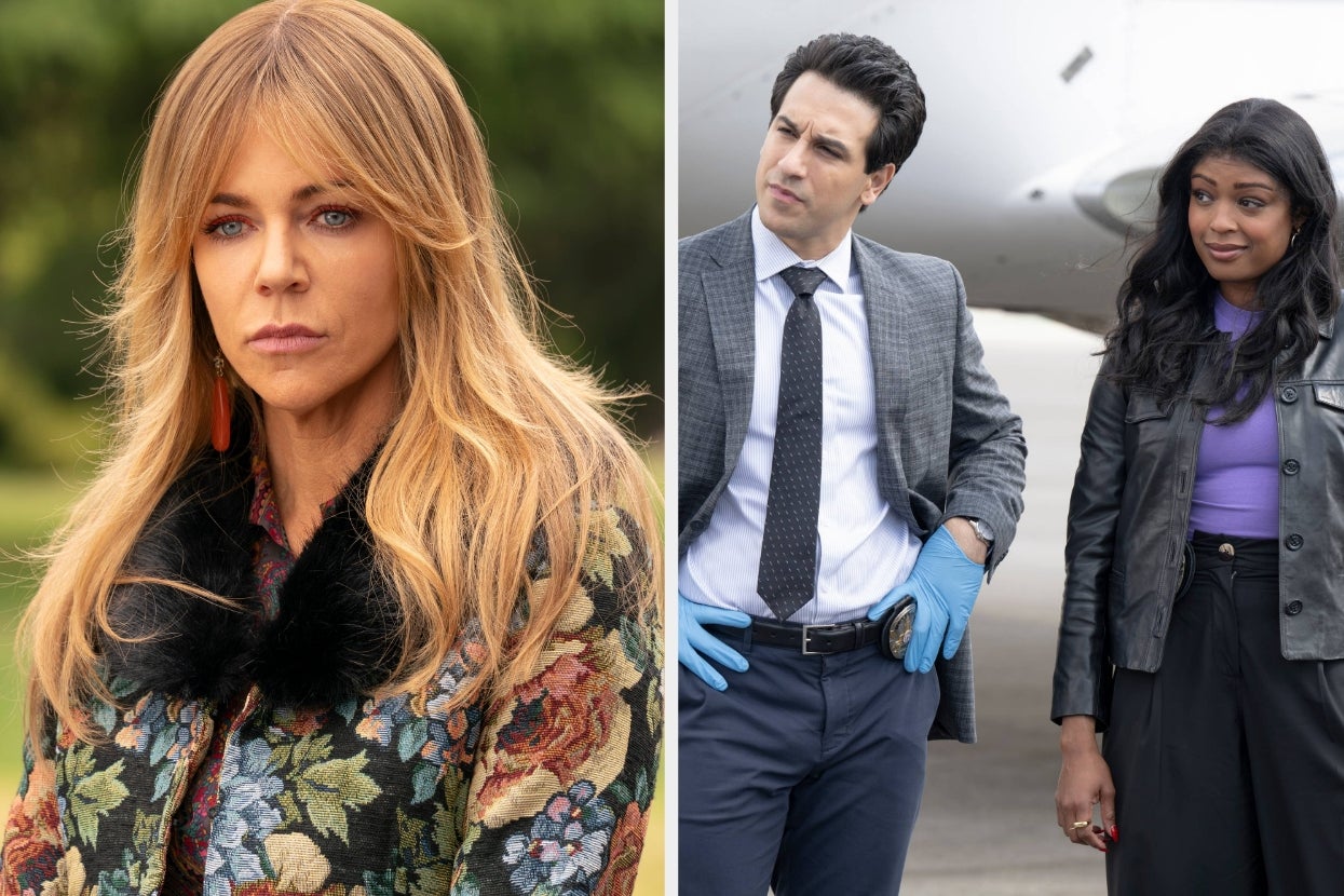 “High Potential” Is A Show About A Genius Woman Helping Cops Solve Crimes, And I Cannot Overstate Enough How Much It HITS