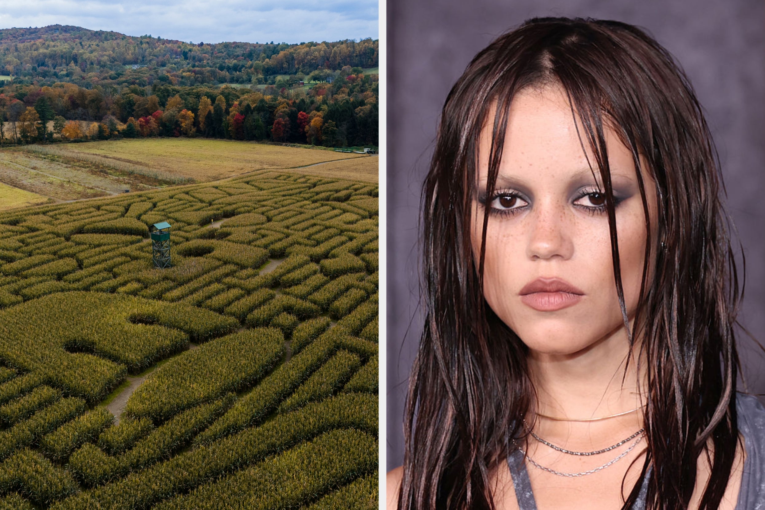 I Bet You Can't Make It Through These Spooky Season "Would You Rather" Questions