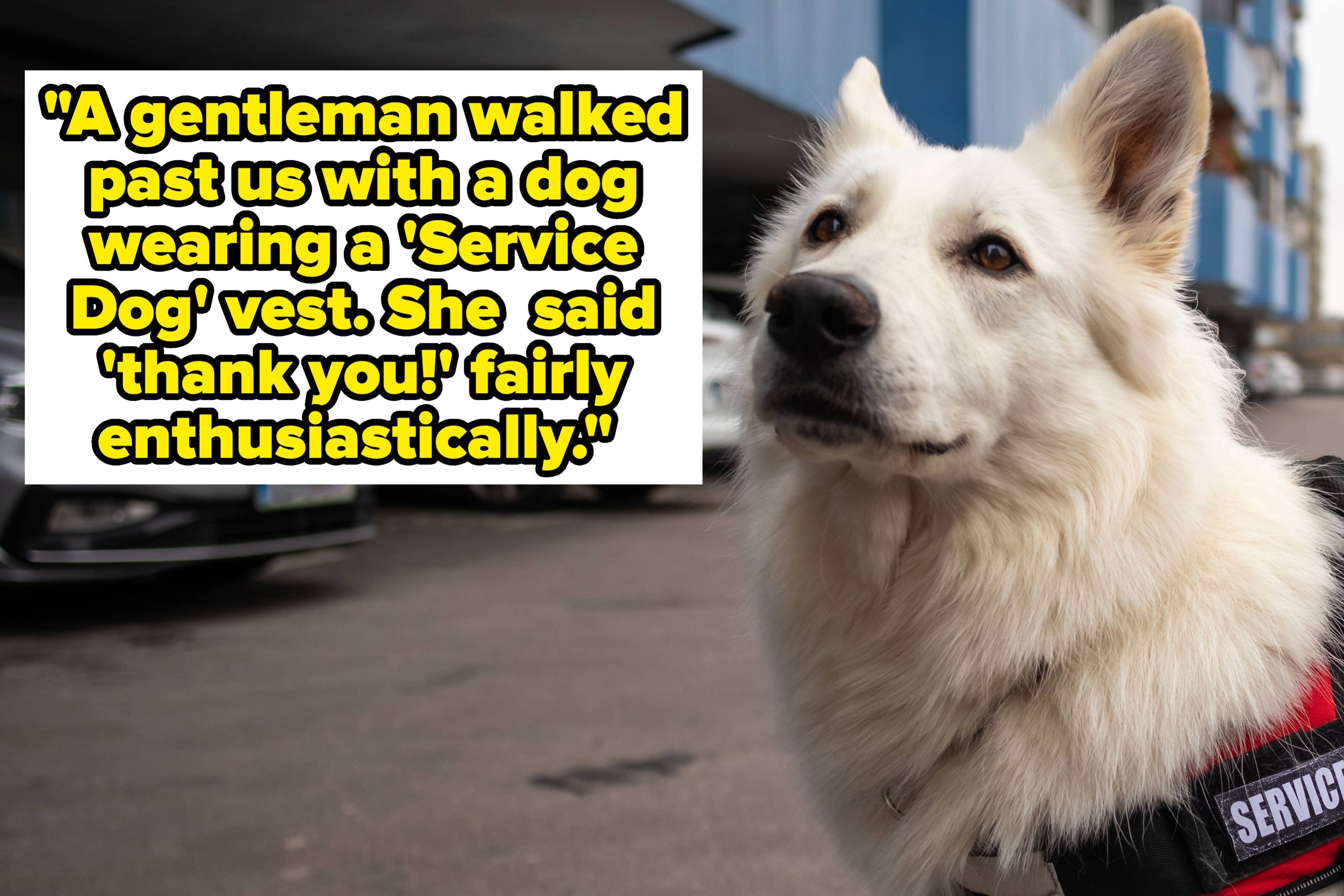 "I Was Dumbfounded That He Lived His Life Thinking That": 19 Adults Are Sharing The Most Unfathomable Things They've Ever Had To Explain To Another Grown Up
