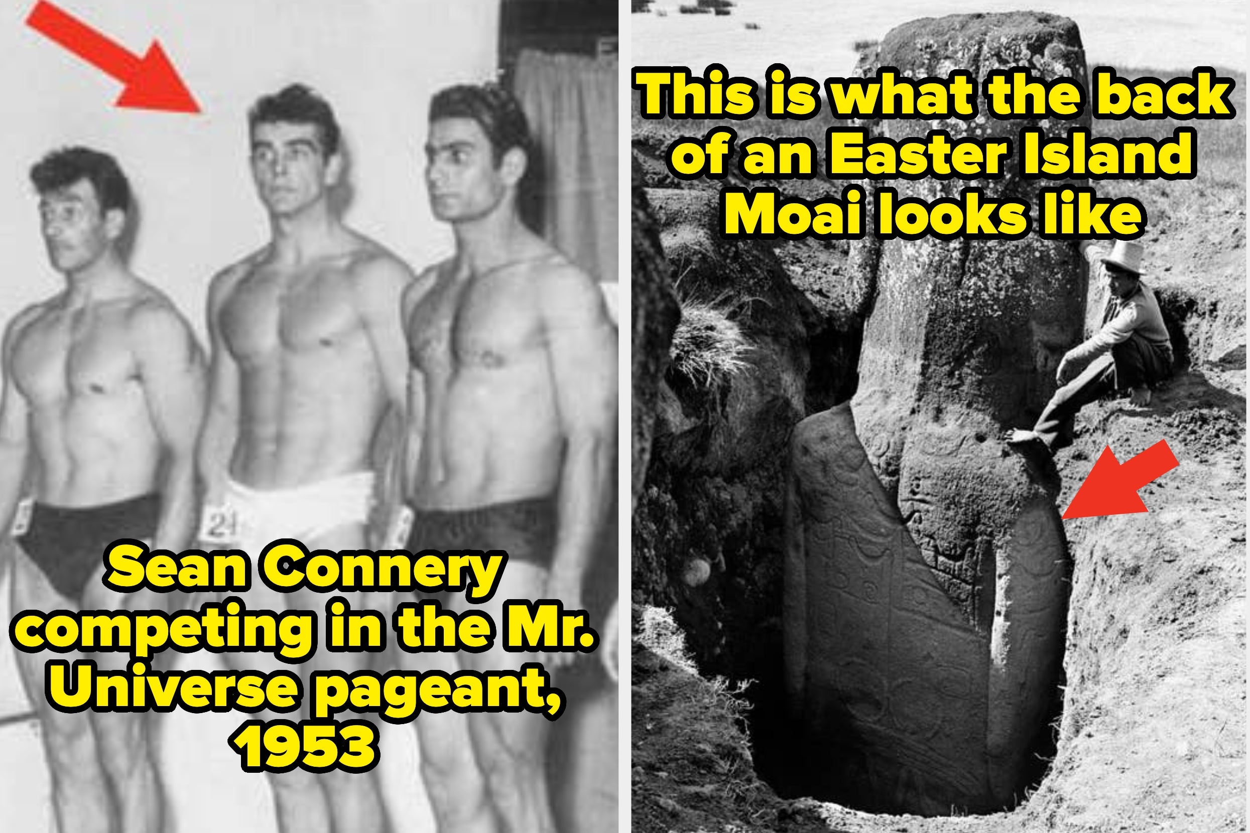 I'm Honestly Still In Complete Shock After Seeing These 27 Absolutely Mind-Blowing Photos That Completely, Totally, And Utterly Shattered My Dumb Little Brain Last Week