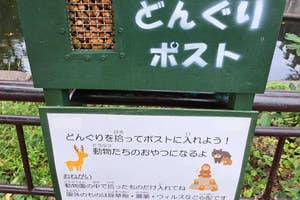 どんぐりが詰まった「どんぐりポスト」の写真 / 日立市かみね動物園の公式Xアカウント(@HitachiCity_Zoo)より
