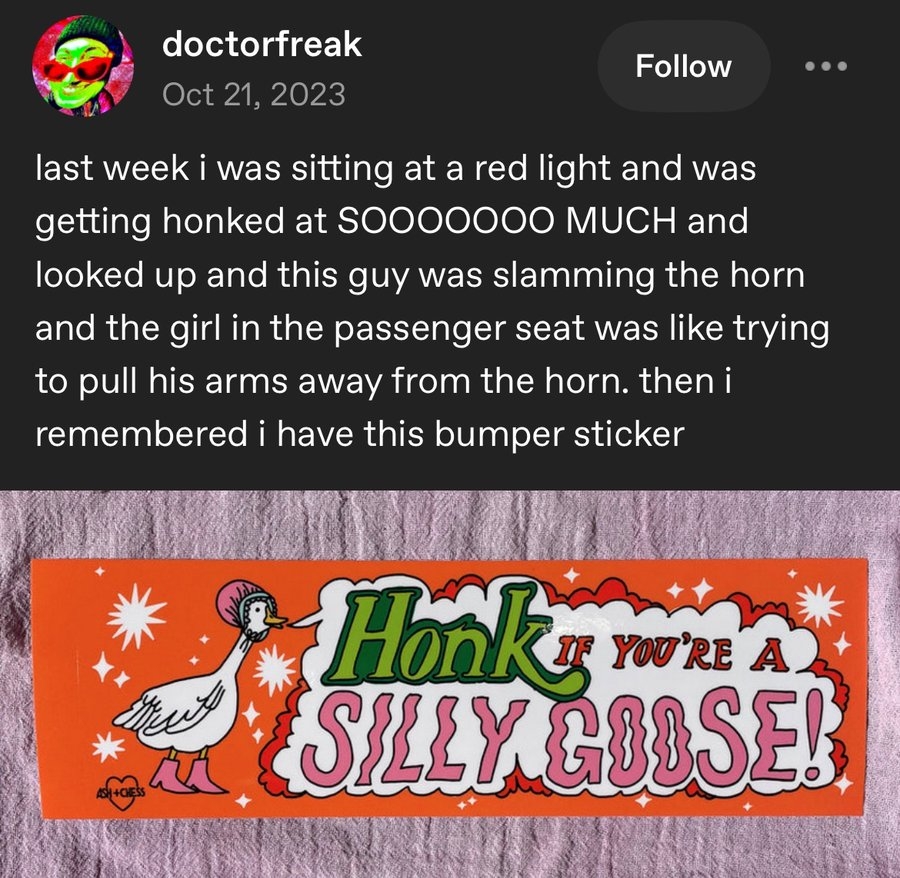 Screenshot of a post describing a humorous incident at a red light, followed by an image of a &quot;Honk if you&#x27;re a silly goose!&quot; bumper sticker