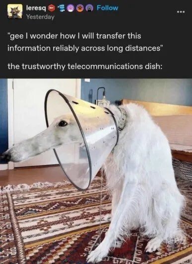 A dog wearing a cone sits indoors with text jokingly comparing it to a reliable telecommunications dish