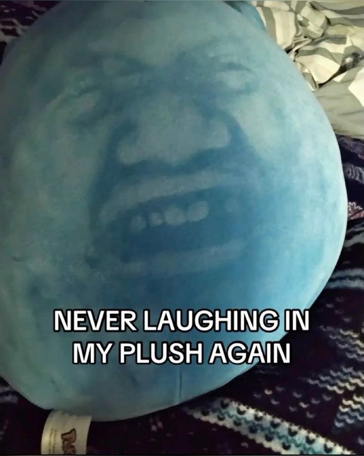 Round plush toy with a printed image of a laughing face; caption reads, &quot;NEVER LAUGHING IN MY PLUSH AGAIN.&quot;