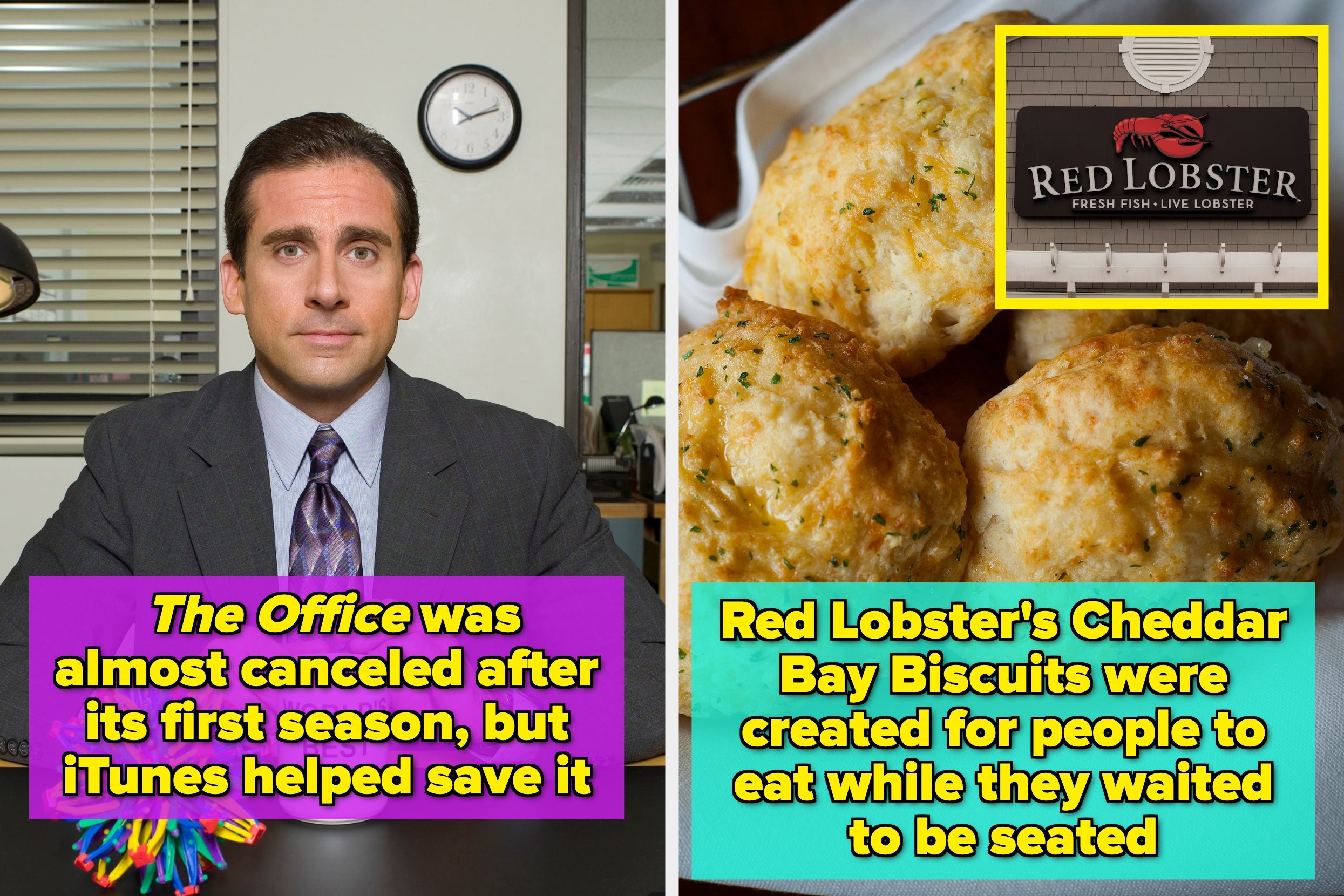 These 10 Interesting Facts Are So Mind-Blowing I Literally Had To Fact-Check Them Twice Because I Refused To Believe They're Real