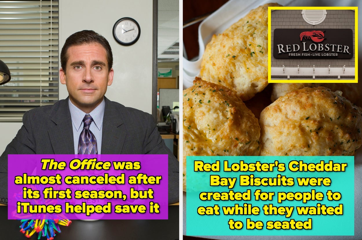 My Mind Is Absolutely Blown By These 10 Facts That Sound Very, Very Fake But Are Actually 100% Real