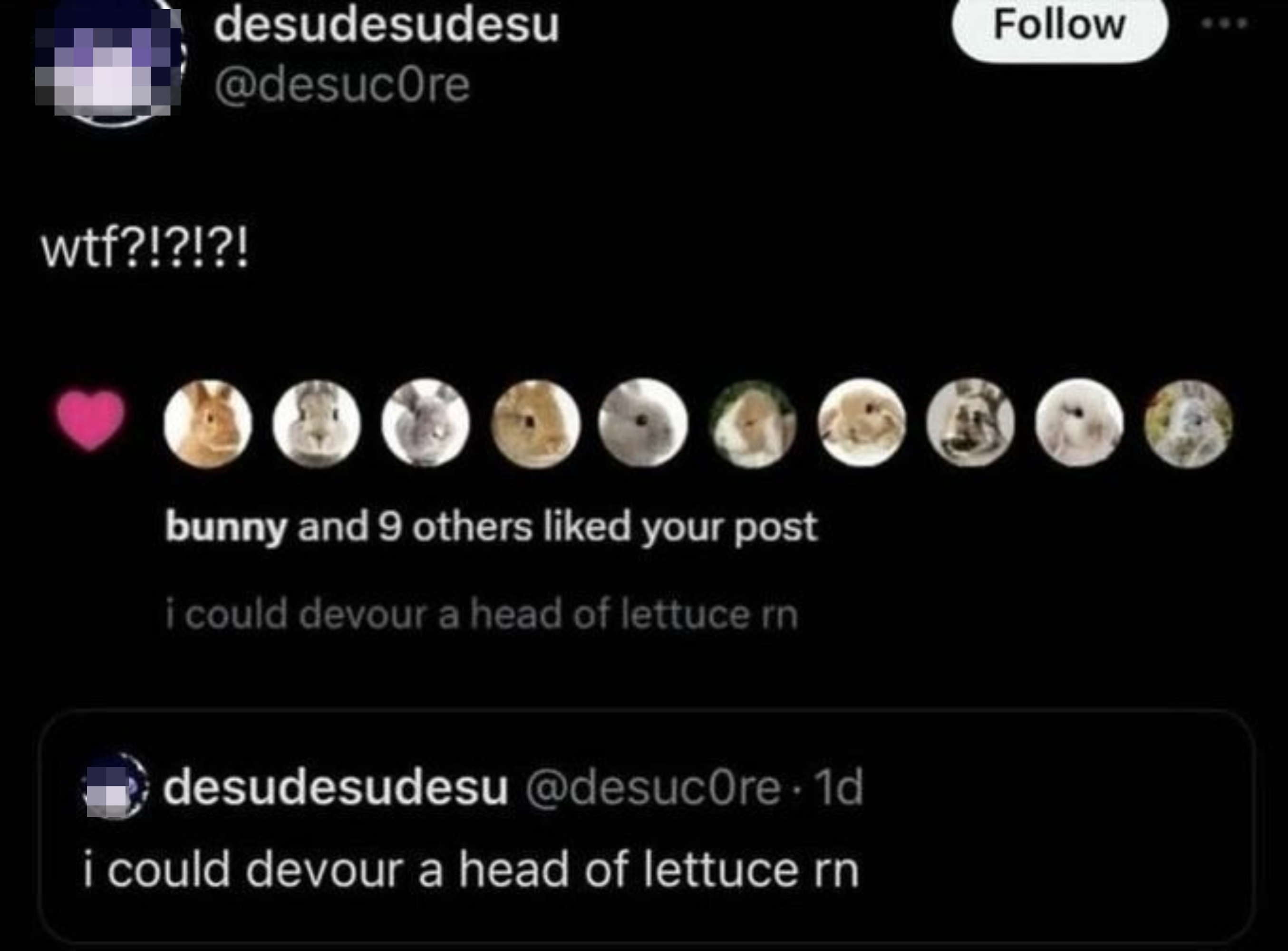 Screenshot of a tweet by @desuc0re: &quot;i could devour a head of lettuce rn.&quot; It received likes, mostly from bunny-themed accounts