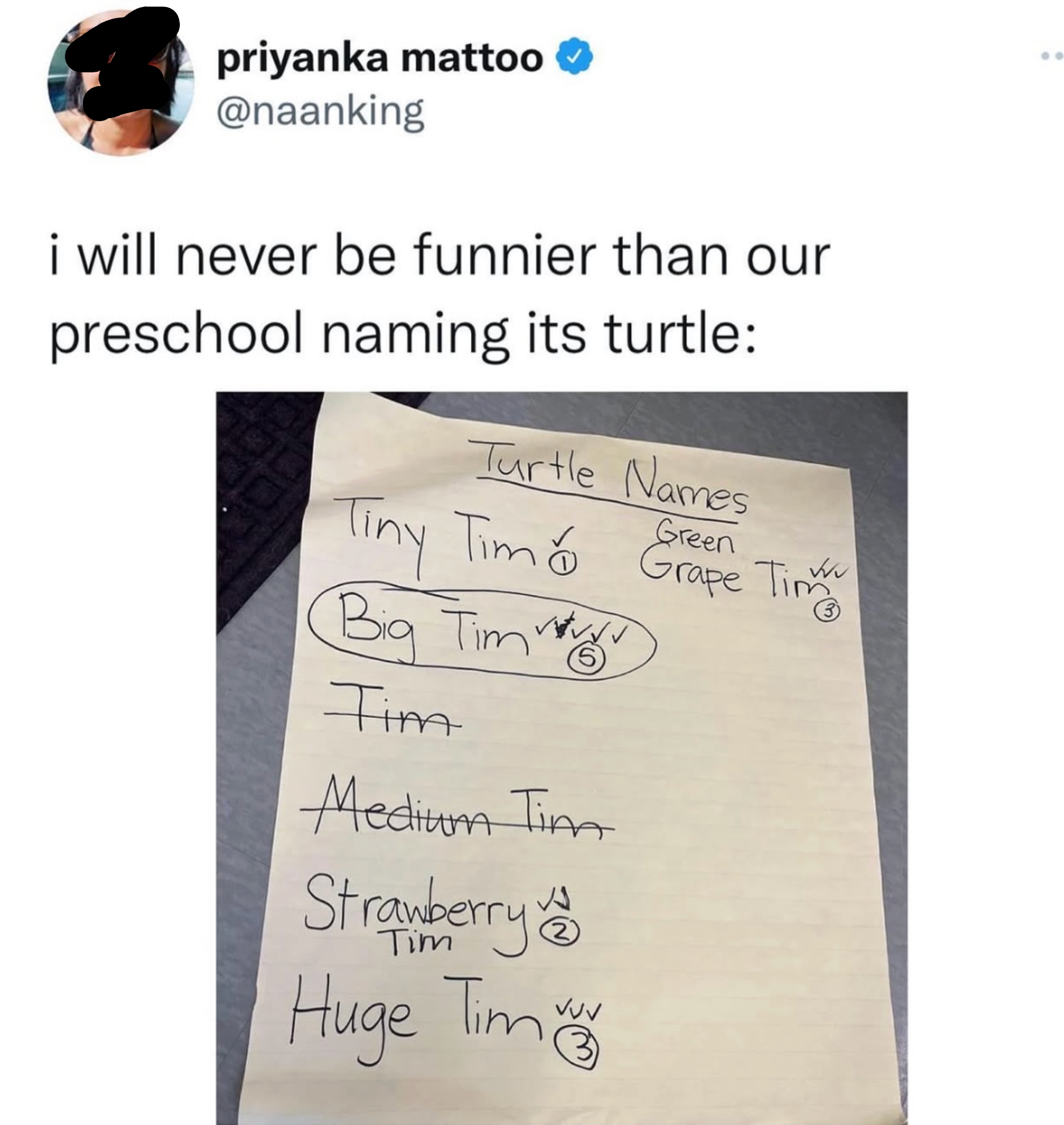 A tweet joking about a preschool naming its turtle with various humorous &quot;Tim&quot; names like Tiny Tim, Medium Tim, and Huge Tim