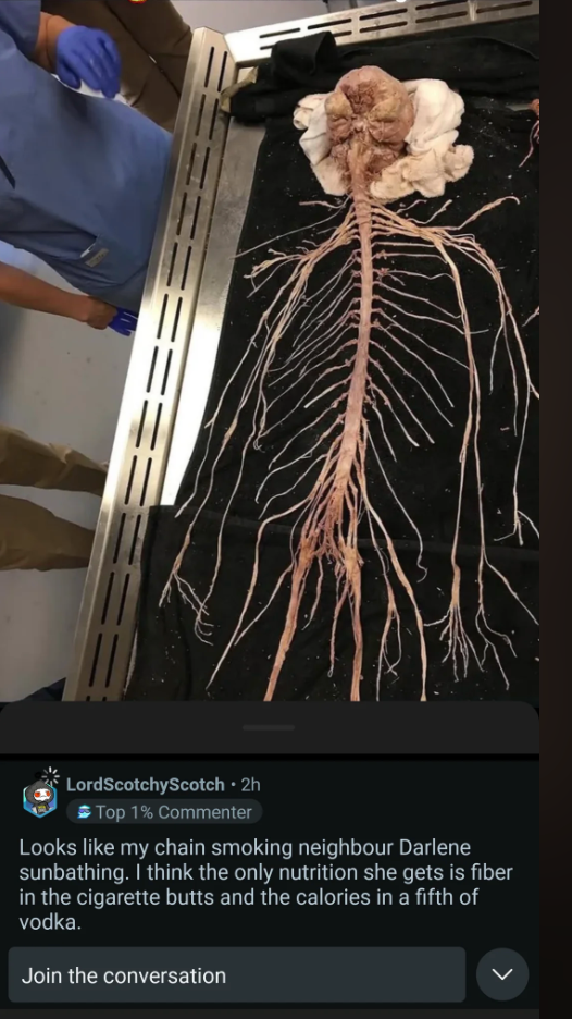 Post image 10