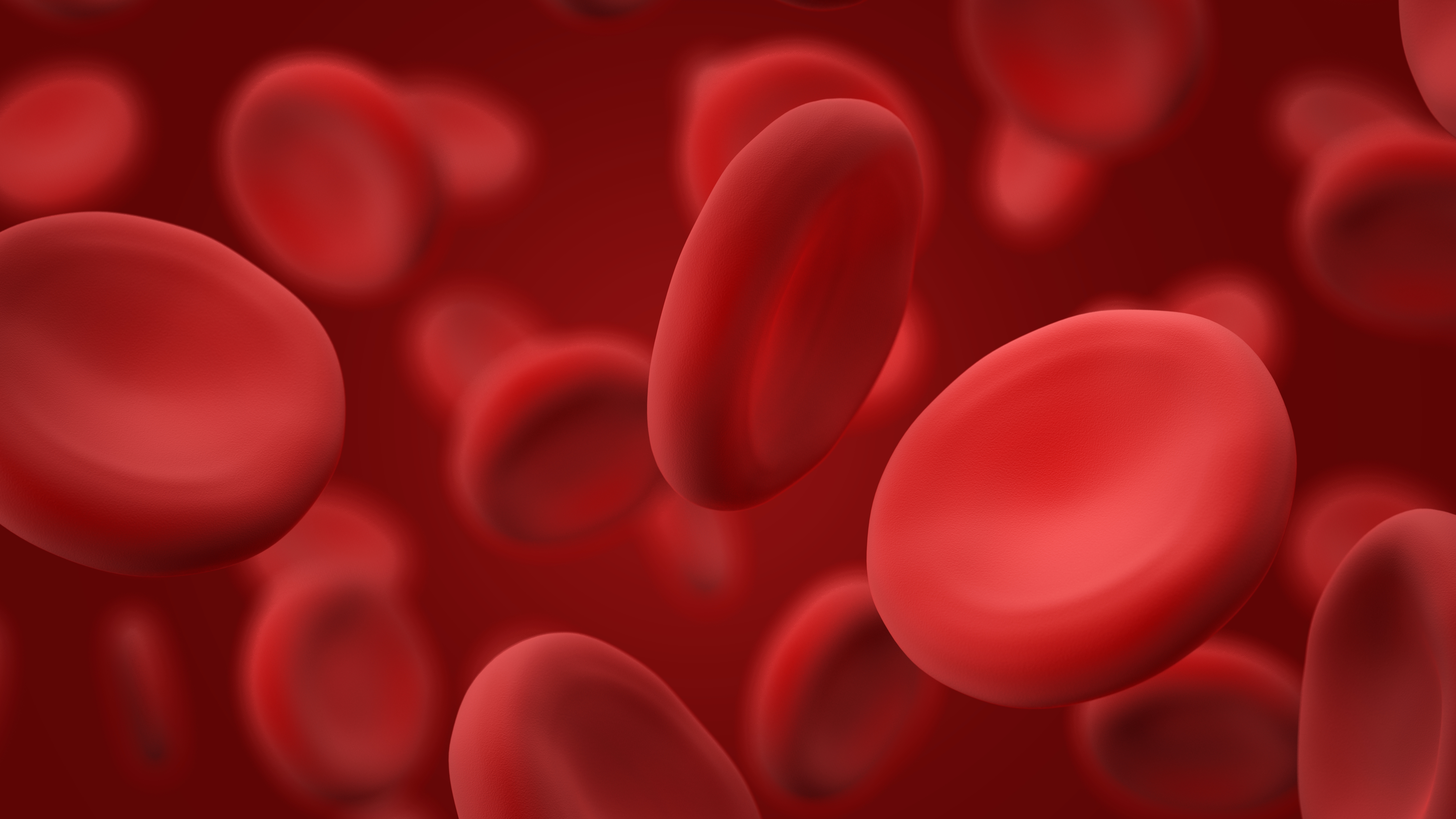 Røde blodceller flyter mot en rød bakgrunn, og illustrerer et biologisk eller medisinsk konsept relatert til sirkulasjon