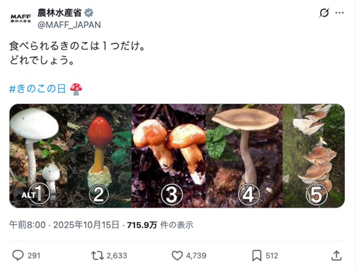 つきのこ様への専用確認 食べられるきのこは1つだけ】農水省のクイズが超難問。あなたは見分け