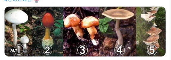 農林水産省のXより