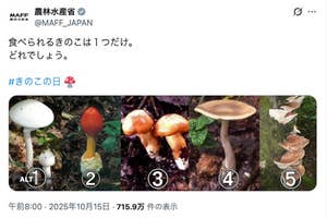 農林水産省のXより
