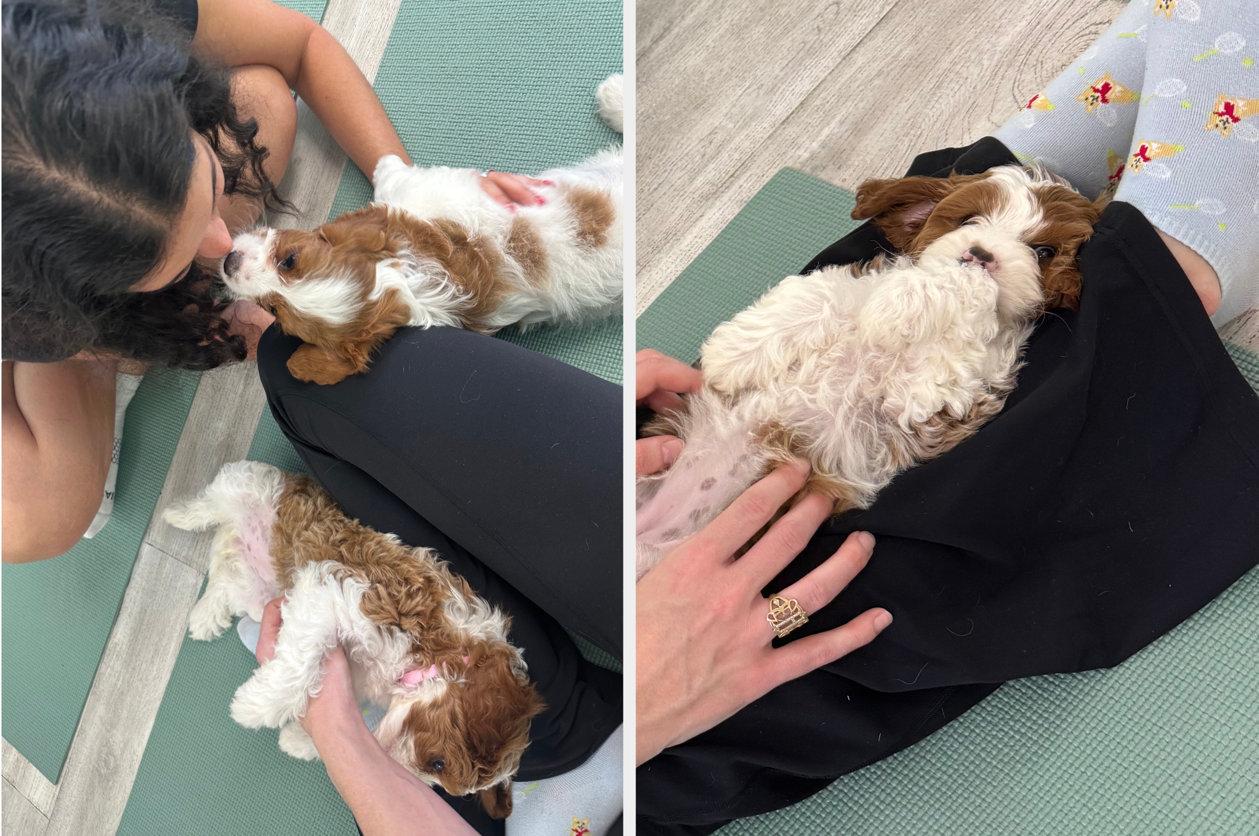 To valper som ligger på folk under en yogaøkt, med en person som forsiktig kjærtegner en valp