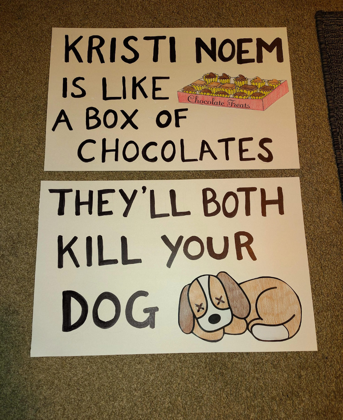 Two posters: 1) "Kristi Noem is like a box of chocolates." 2) "They'll both kill your dog," with a drawing of a dog next to the text
