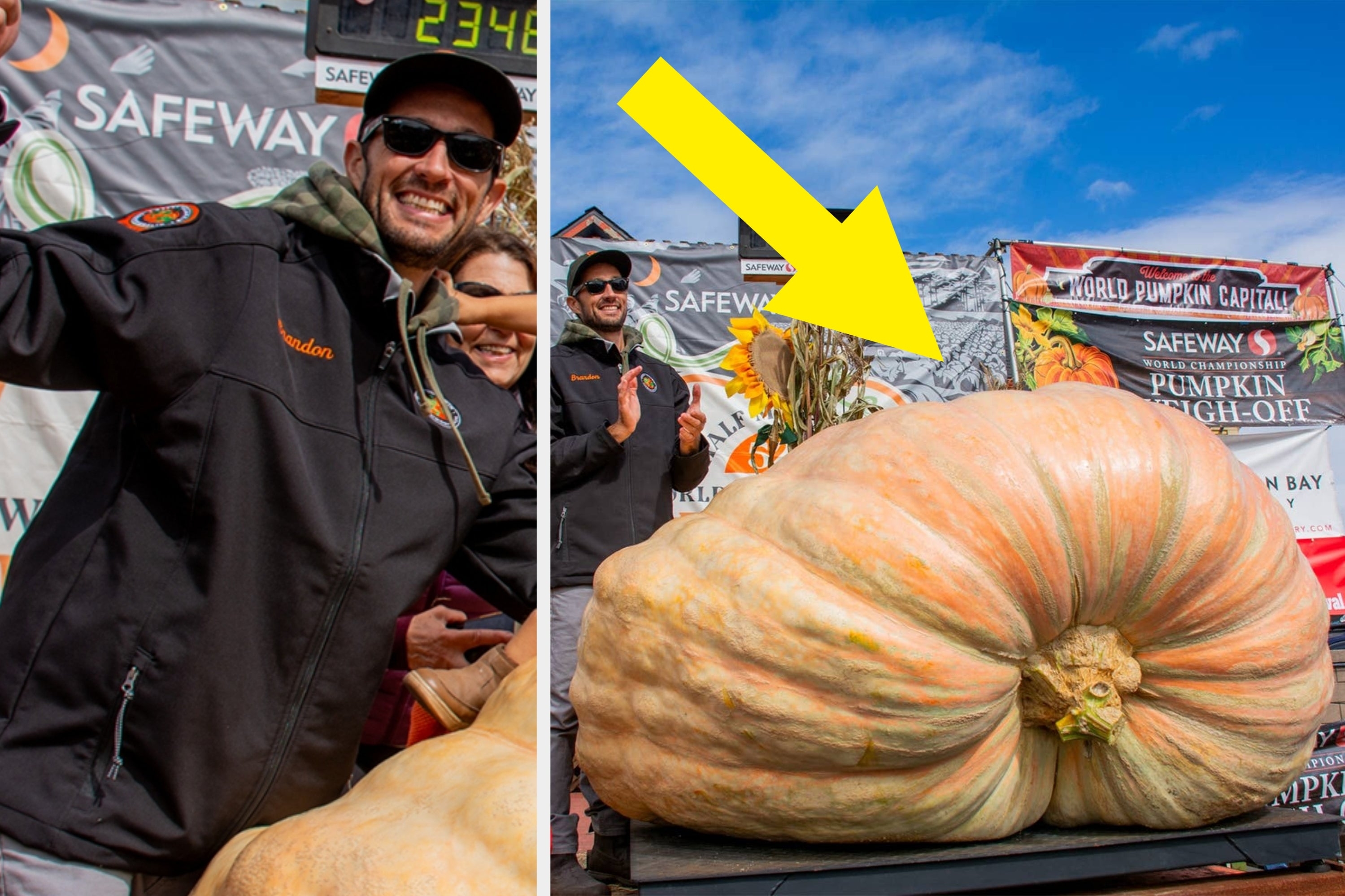 え、これホンモノ？アメリカで“モンスター級”のカボチャが登場。その重