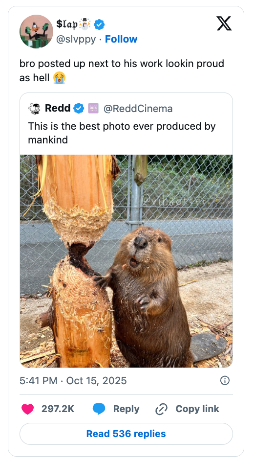 A beaver stands beside a tree it gnawed, appearing proud. Social media posts praise the image humorously, calling it the best photo by mankind