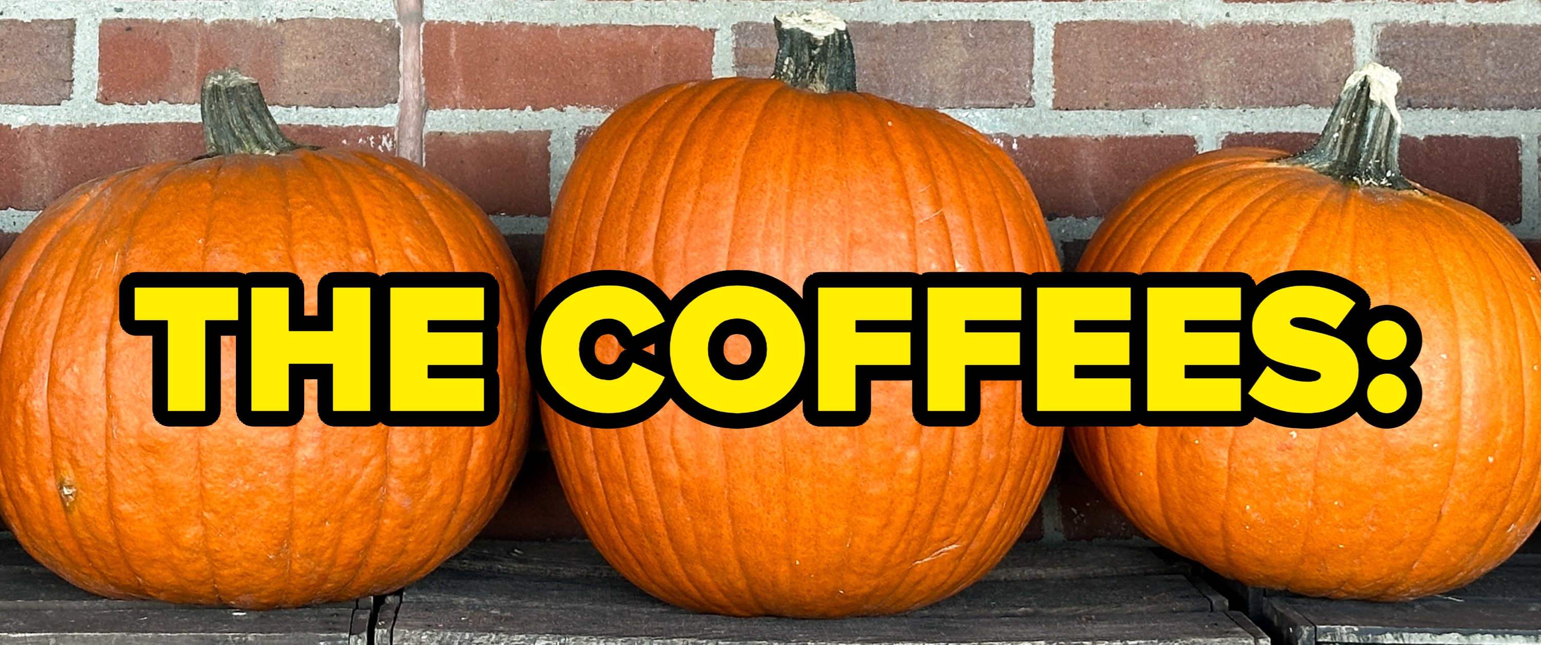 Several pumpkins are lined up against a brick wall