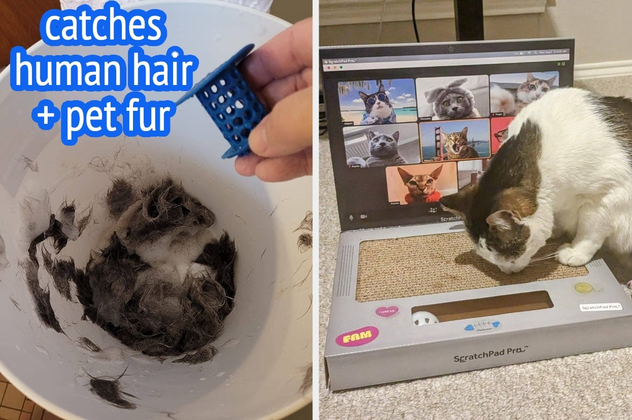 Left: A hand holds a blue device over a bucket containing hair. Right: A cat interacts with a laptop screen and scratchpad