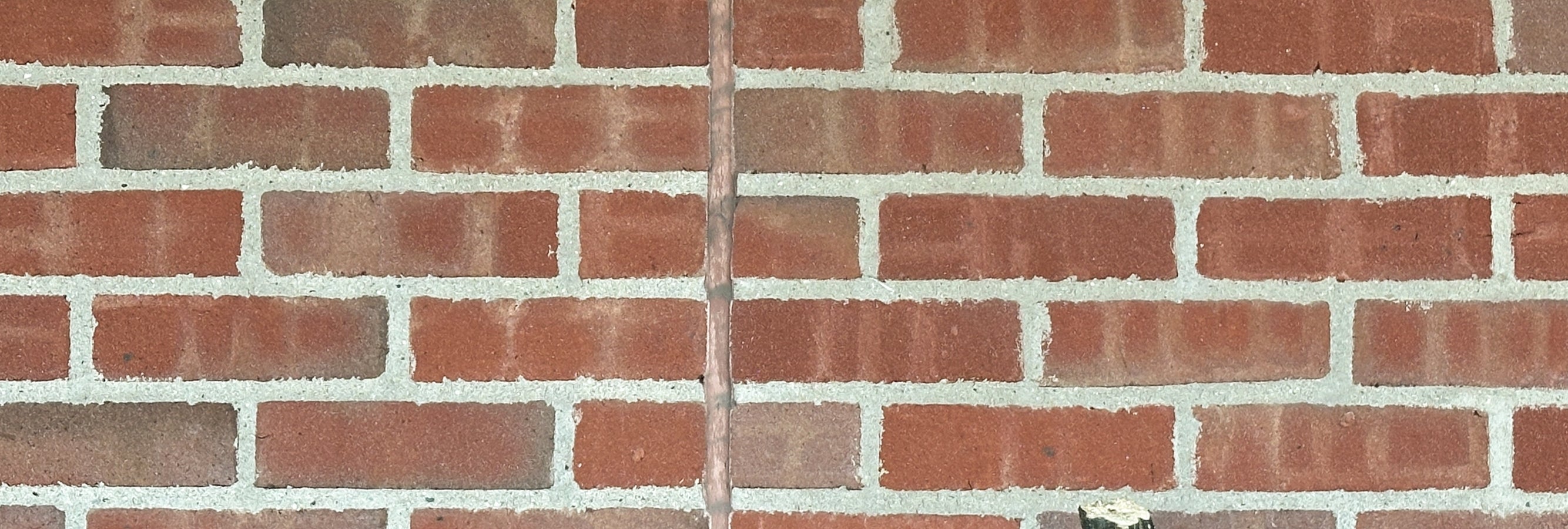 Pumpkins lined up against a brick wall, each displaying unique shapes and sizes