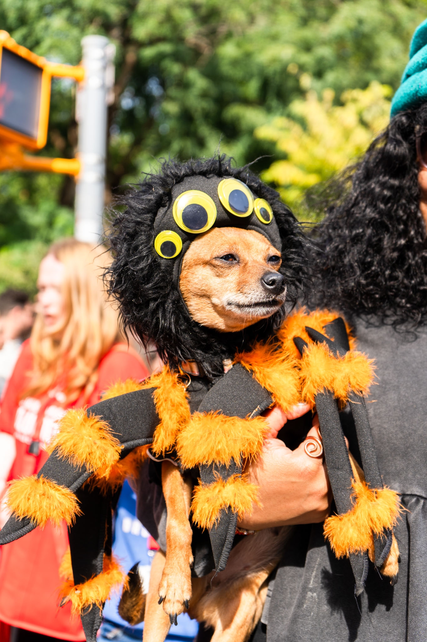 rust ruched midi dress