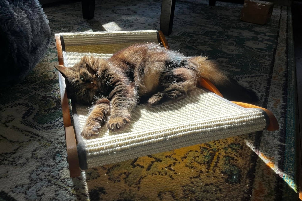 32 Outrageously Adorable Things That Will Make You Say, "Are You Kidding Me Right Now?"