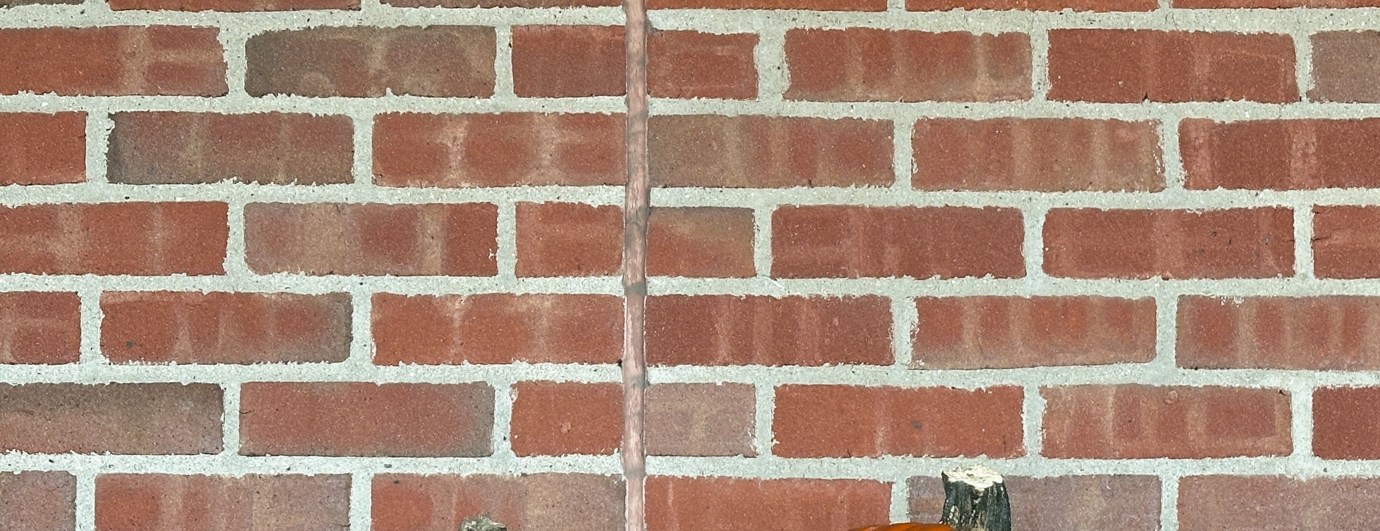 Five pumpkins lined up on a bench against a brick wall background