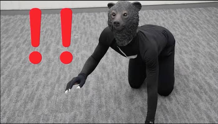 クマに出会ったら】叫ぶ、戦う、背中を向けて逃げるは全部NG。では