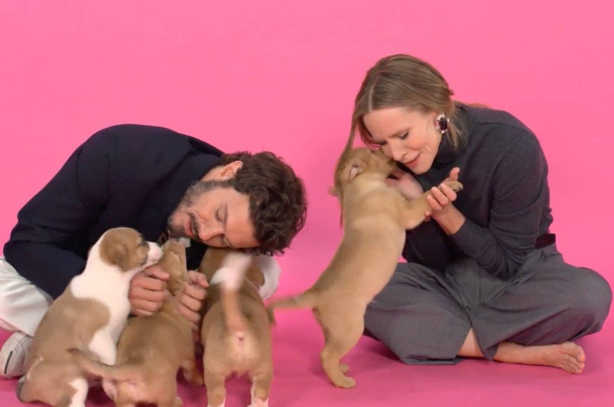 Adam Brody And Kristen Bell On "Nobody Wants This" Season 2, Roles They Didn't Get, And So Much More