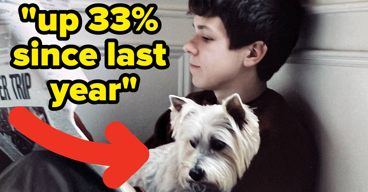 Experts Are Revealing The Most Popular Dog Names Of 2025, And I'm Surprised No. 9 Isn't Higher