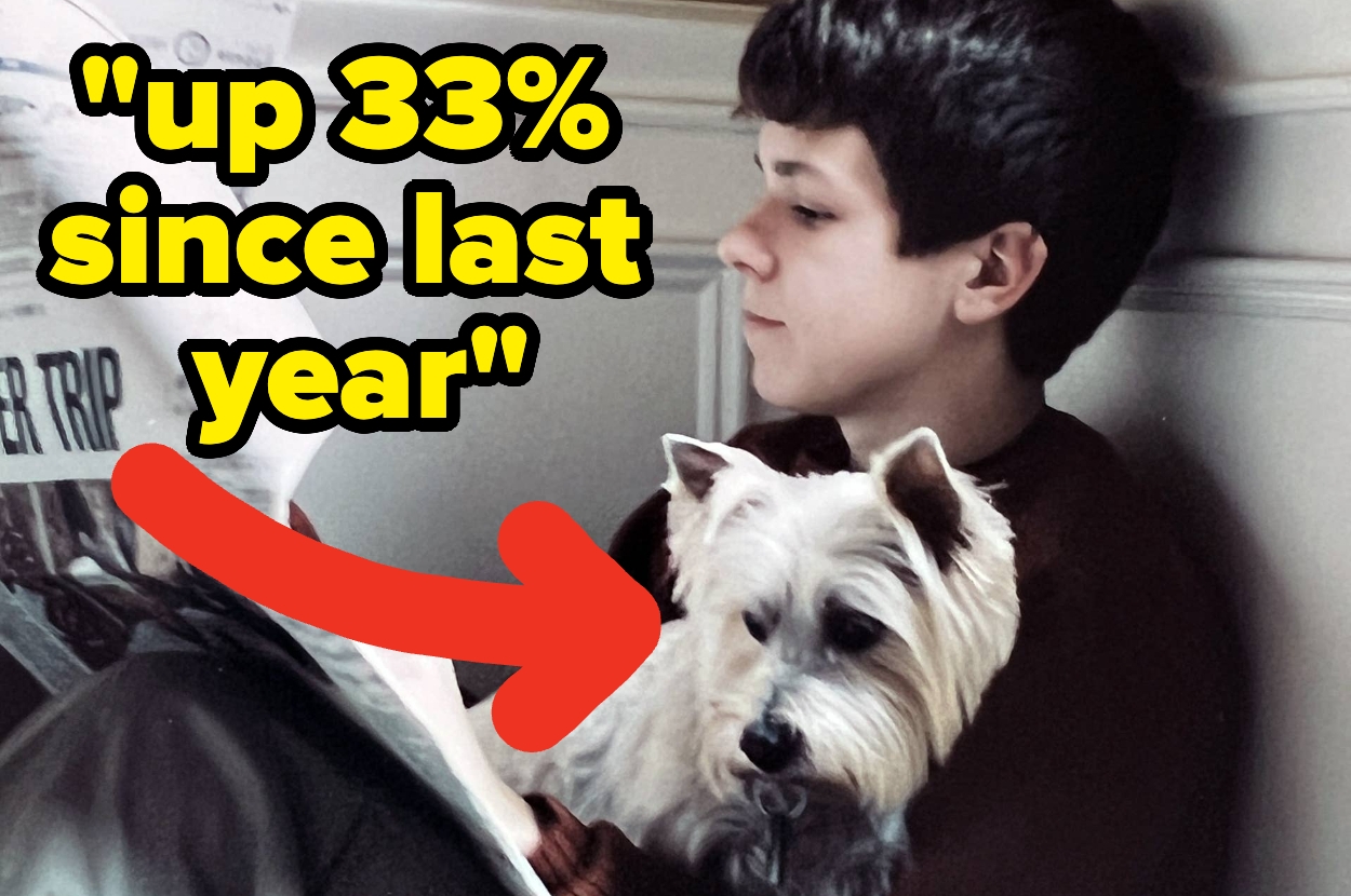 Person reading a newspaper with a white dog sitting on their lap. A red arrow points to the dog, and the text says "up 33% since last year."