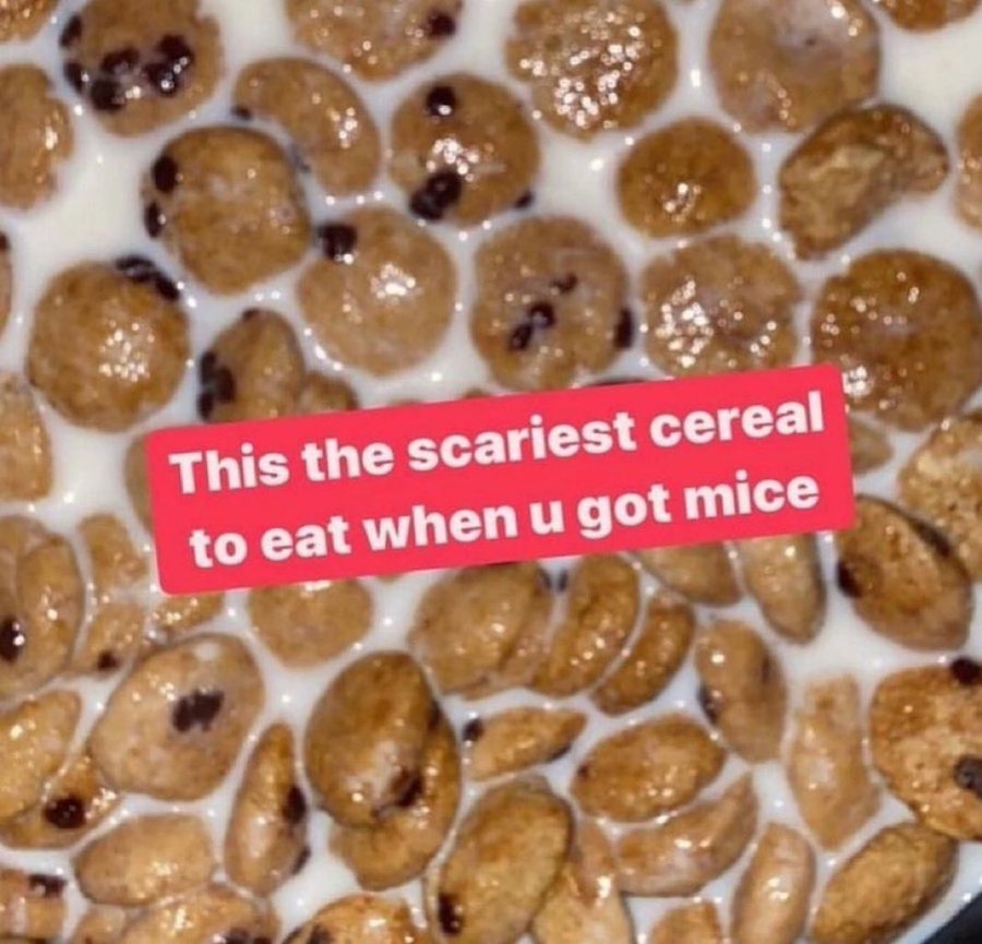 Cereal with chocolate chips in milk, overlaid with text: &quot;This the scariest cereal to eat when u got mice.&quot;