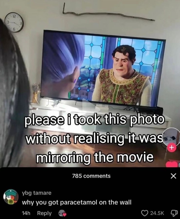 TV shows animated scene; humorous comment mistaking character&#x27;s clothing for medication. Text reads: &quot;please i took this photo without realising it was mirroring the movie.&quot;