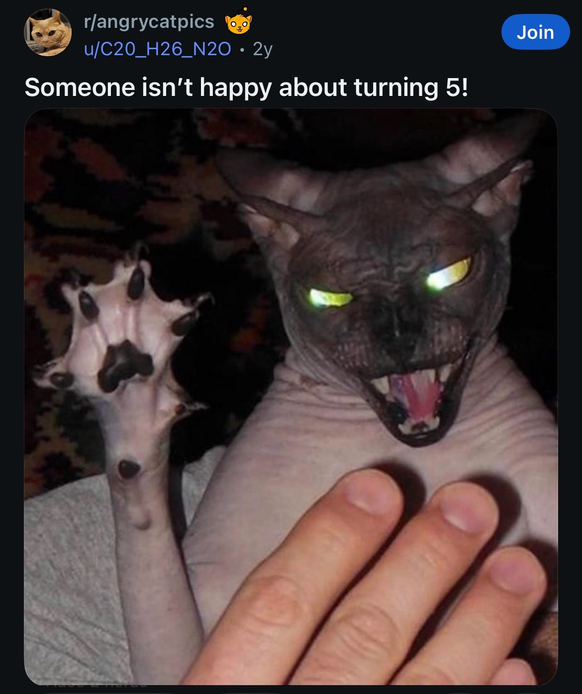 Hairless cat with glowing eyes and raised paw looks angry; hand is in the foreground. Caption jokes about the cat not being happy about turning 5