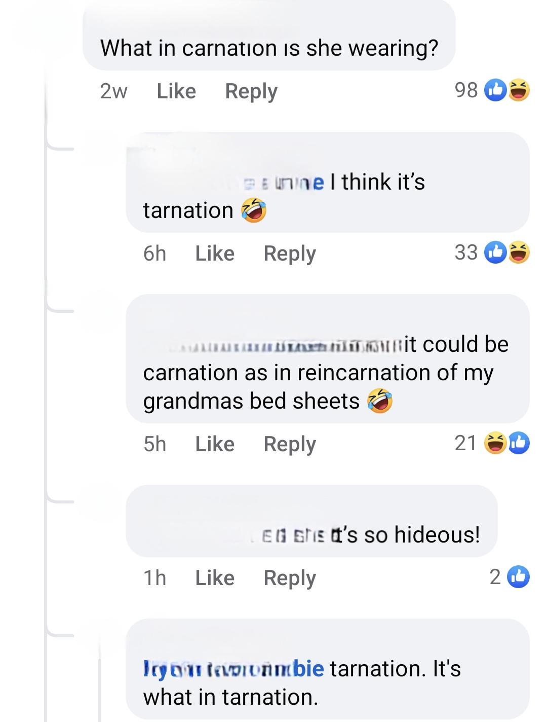 Comments sermon   clothing, with playful references to "tarnation" and "carnation," and notation  it resembles "grandma's furniture  sheets."