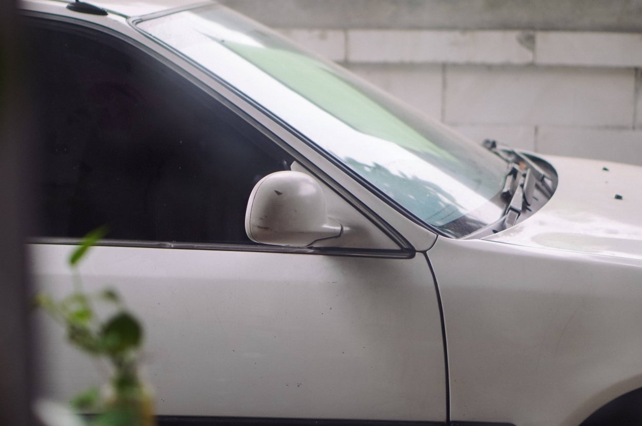 Side view of a parked car near a brick wall with plants visible in the foreground