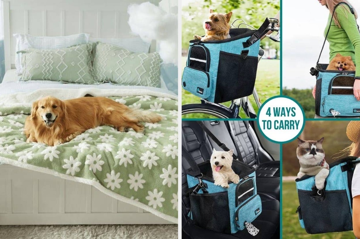 Golden retriever on a daisy-patterned blanket. Adjacent: pet carrier with 4 transport modes—bike, shoulder, car, and stroller—for small dogs and cats