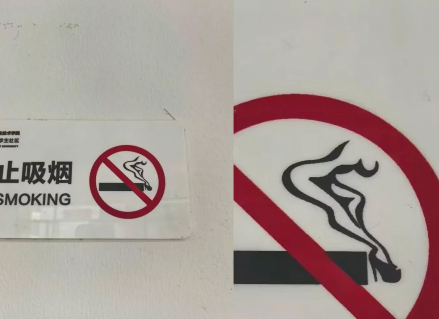 Sign showing a no smoking symbol with a cigarette transforming into a woman's silhouette. Text in another language and "NO SMOKING" below it