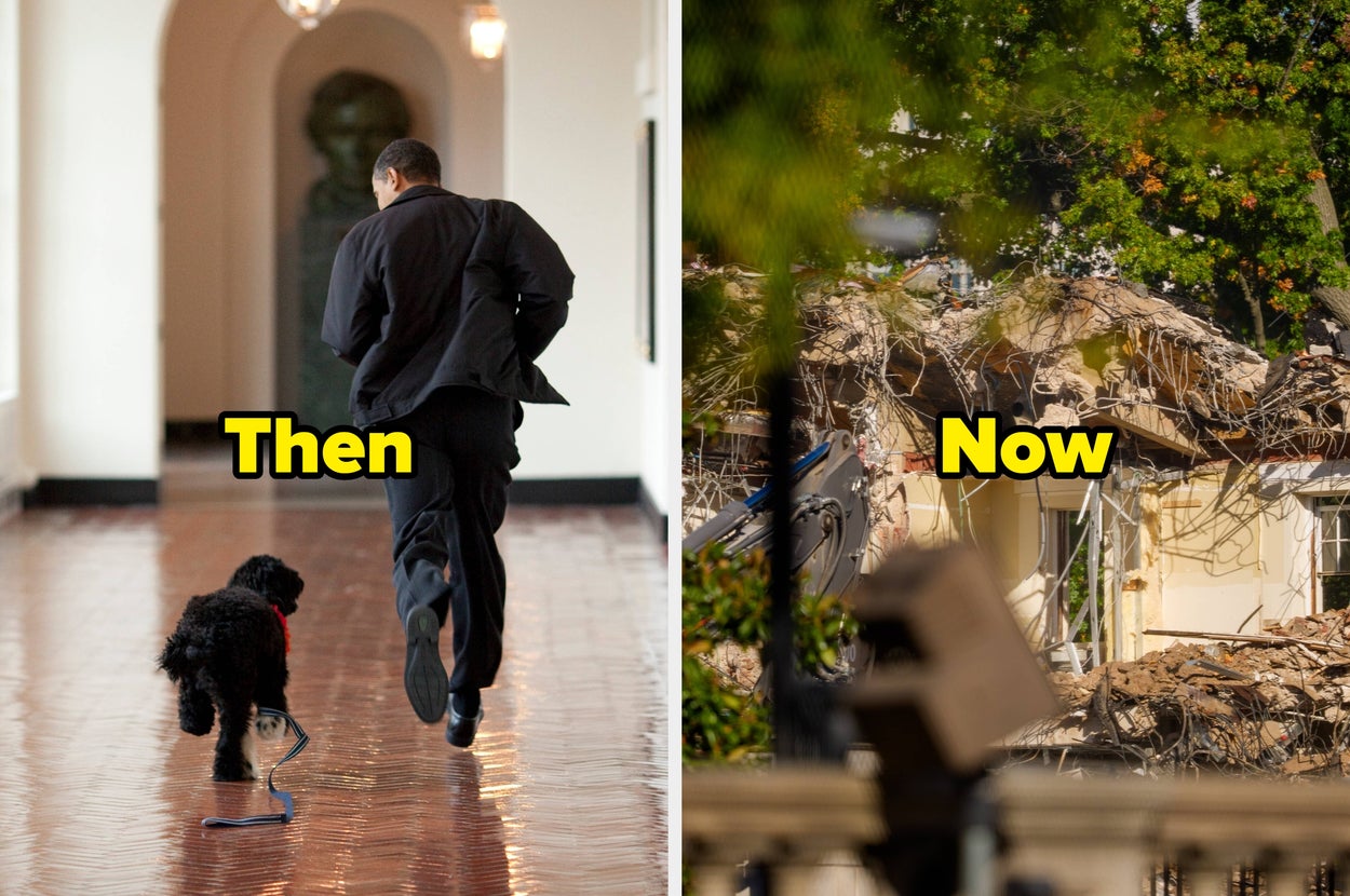 Person in a suit runs down a corridor with a dog. Adjacent image shows a partially demolished building with trees in the background
