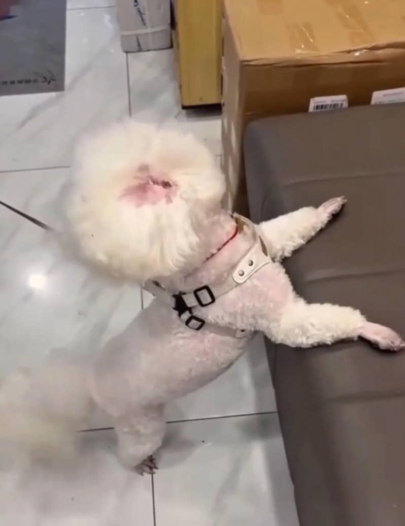 Viral Photos That Trick Your Eyes: 16 Visual Puzzles