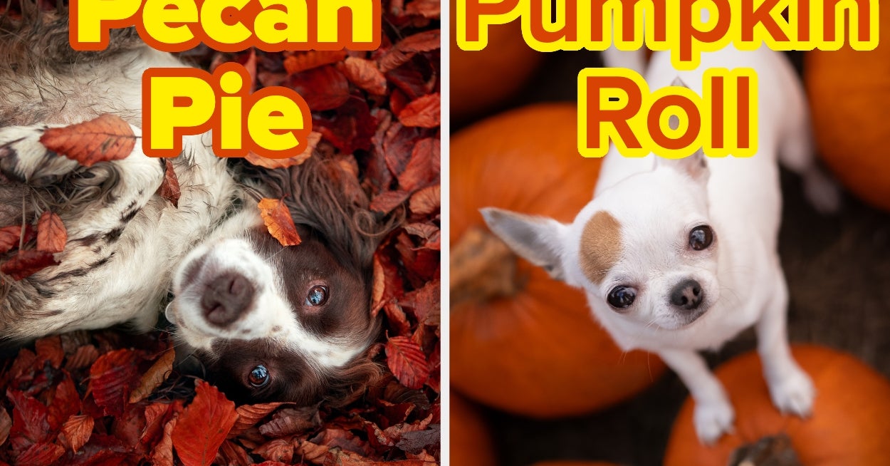 Pick Puppies And I'll Give You A Fall Dessert Rec - BuzzFeed