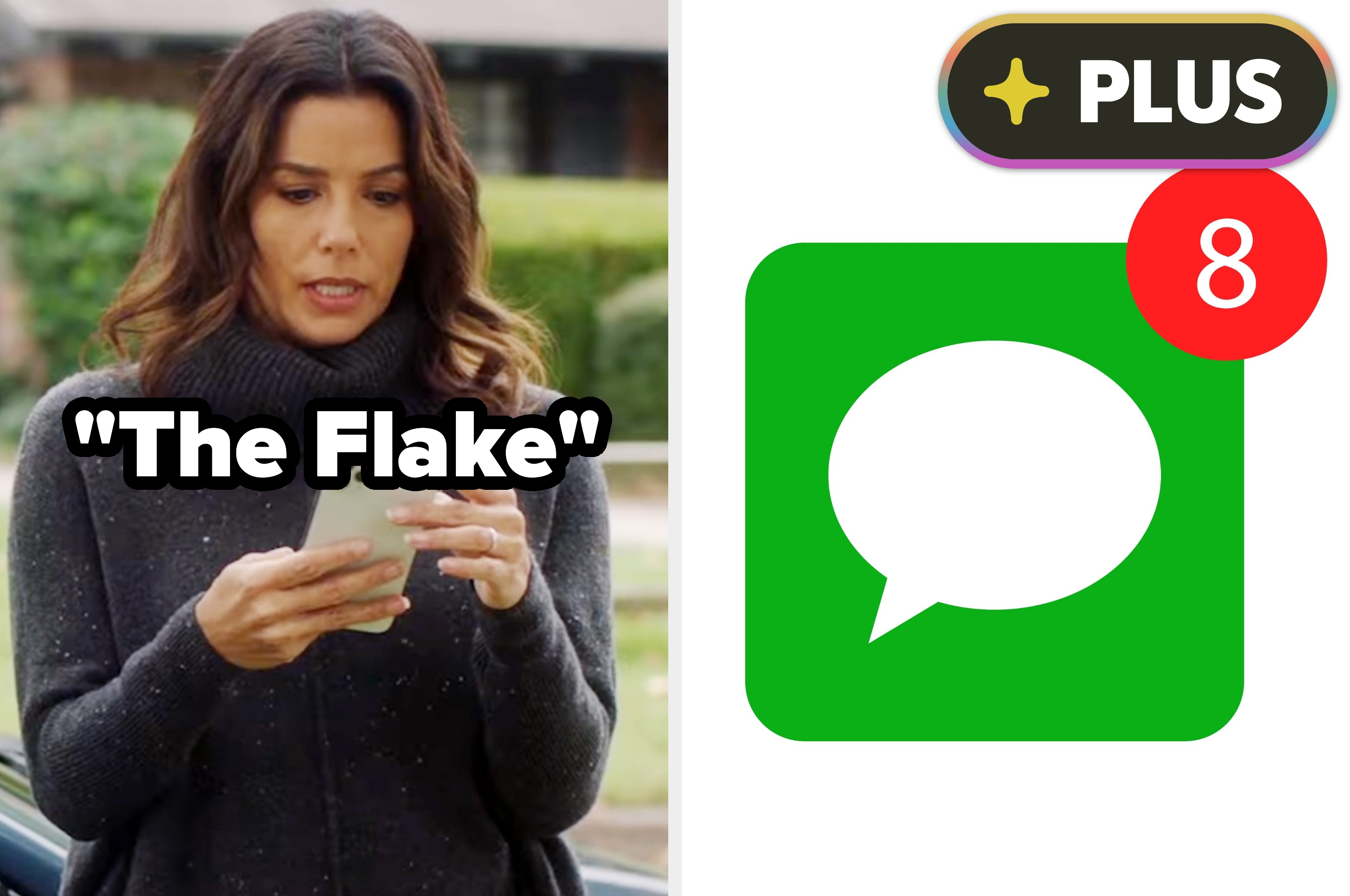 Person looking at phone alongside chat app icon with eight unread message notifications, text reads "The Flake."