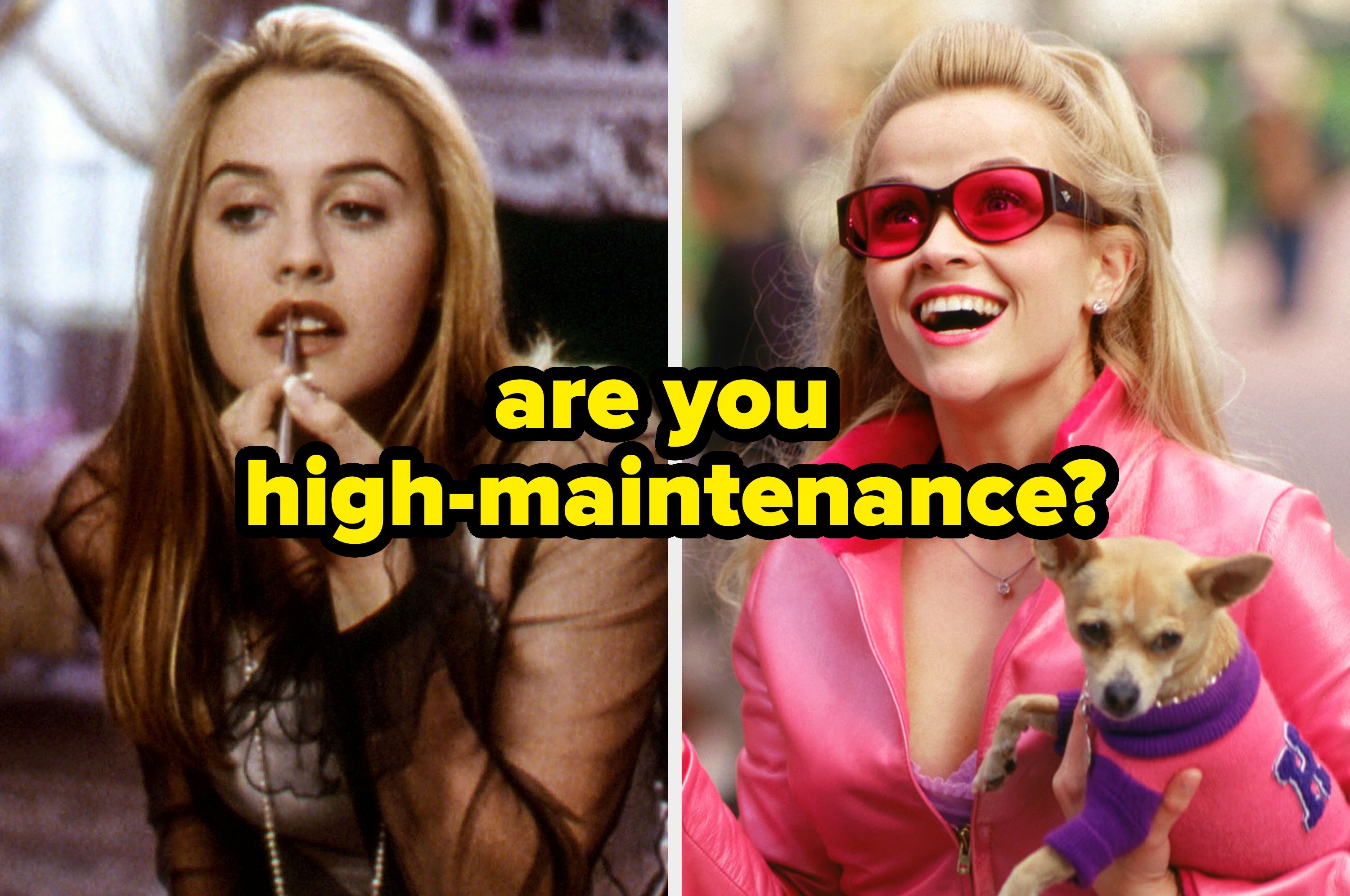Split image of a woman applying lip liner and another woman dressed in pink, holding a small dog; text overlay: "are you high-maintenance?"