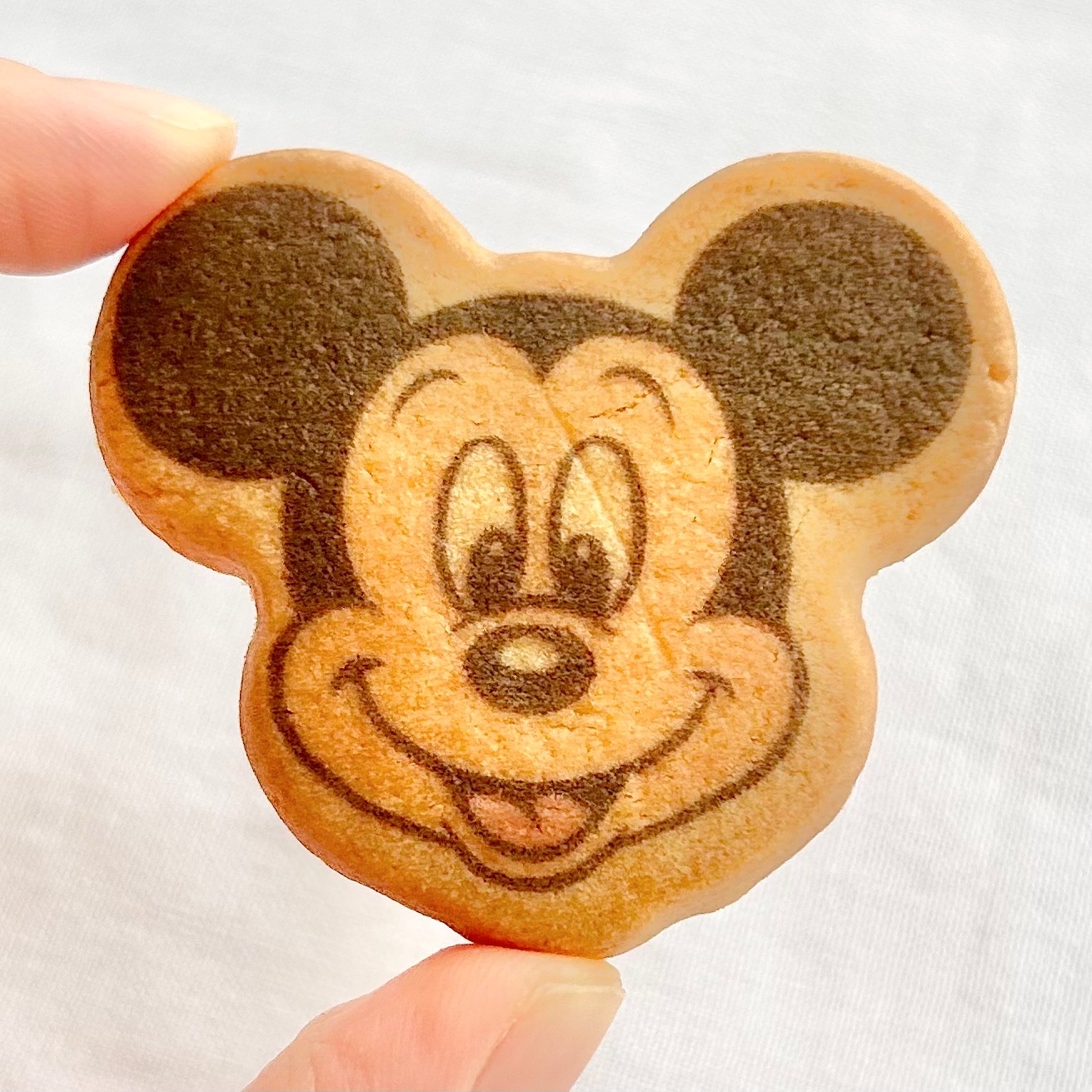 食べずに飾っておきたい！ディズニーランドで買った「激かわお土産